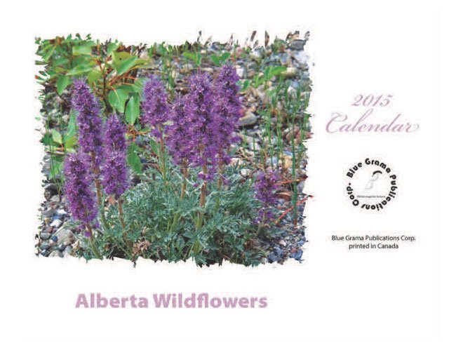 2015 AB Wildflowers Calendar Back