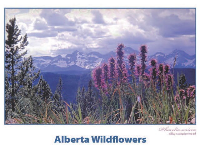 2015 AB Wildflowers Calendar Front
