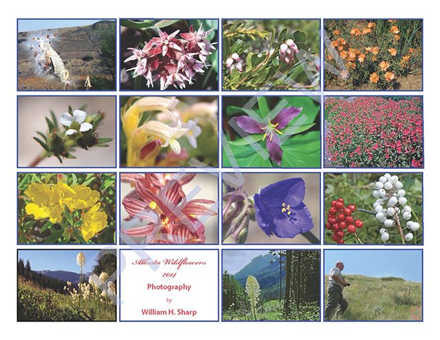 AB Wildflowers 2014 Calendar image overview