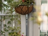 Flower Basket