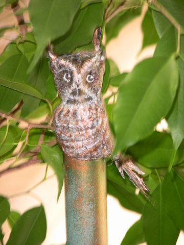 Owl on Pole