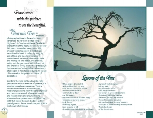 Lessons of the Burmis Tree