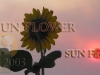 Sun Flow-ire