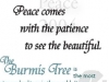 Lessons of the Burmis Tree