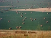 farming