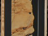 Sacred Face