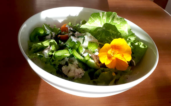 Salad with Nasturtium