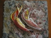 Painted Jaws I
