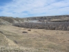 Cottonwood