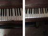Piano Keys 2020