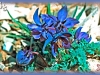 Jones' columbine